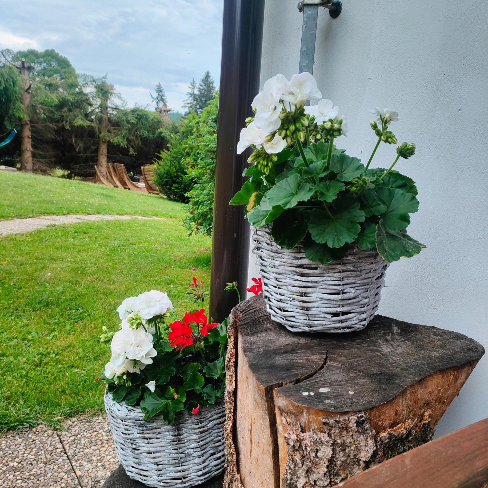 U Tomicku Hotel Paseky nad Jizerou Luaran gambar